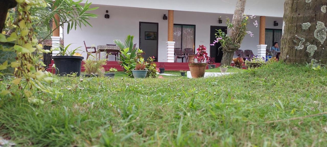 Marari Phoenix Beach Homestay Mararikulam Buitenkant foto